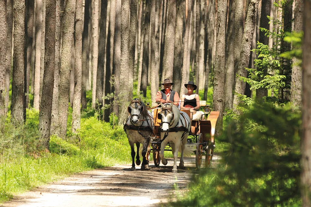 Erlebnisreise in den Spreewald