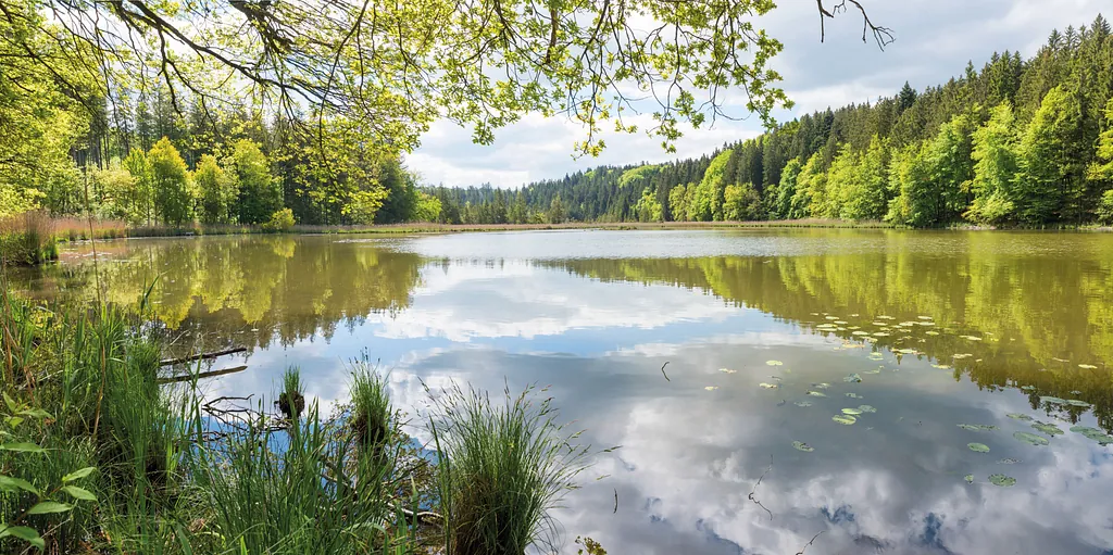 Reise in den Bayerischen Wald