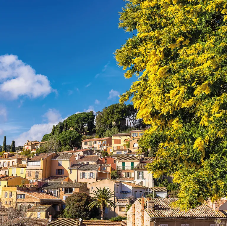 Sonnenverwöhnte Côte d’Azur